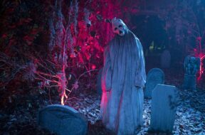 Haunt-2019.jpg