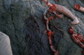crabs-clip.png