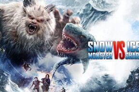 snow-ice.jpg