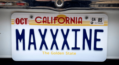 maxxx.png