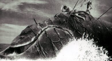 whale-god-movie-e1685020481573.jpg