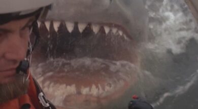 jaws-2222.jpg