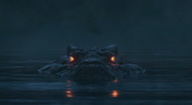 ally.png