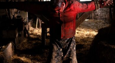 calvaire-hd.jpg