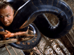 88-films-anaconda.png