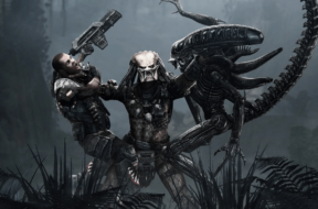 avp.png