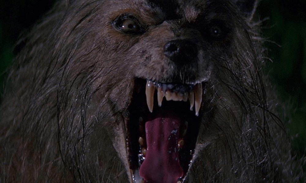 “Wolf Bowl” – Shout! TV and Scream Factory TV Airing Werewolf Movies All Day Long This Sunday!