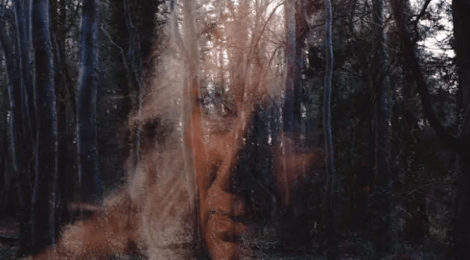 ALL YOU NEED IS DEATH Trailer Brings The Irish Folk Horror Goods » FANGORIA