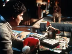 Gremlins-Warner-Bros-MSN.jpg.webp.webp