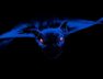 bats1999.jpg