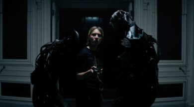 recluse-image.jpeg
