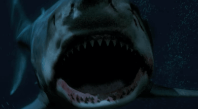 Screenshot-2025-07-03-154610.png