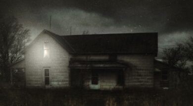 shelbyoaks-teaser.jpg