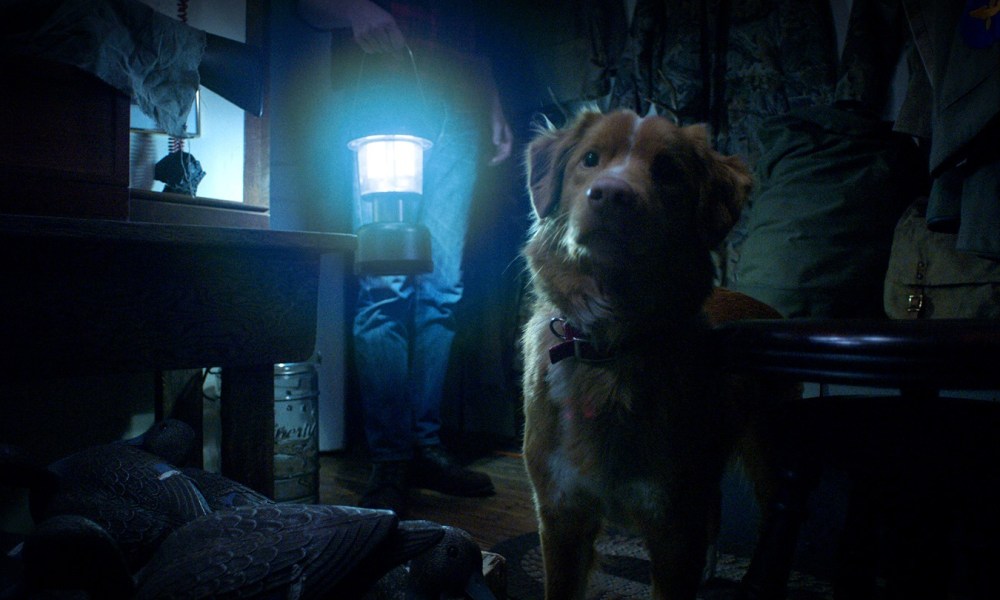 ‘Good Boy’ – Haunted House Movie from a Dog’s POV Rated PG-13 for “Terror” & “Bloody Images”
