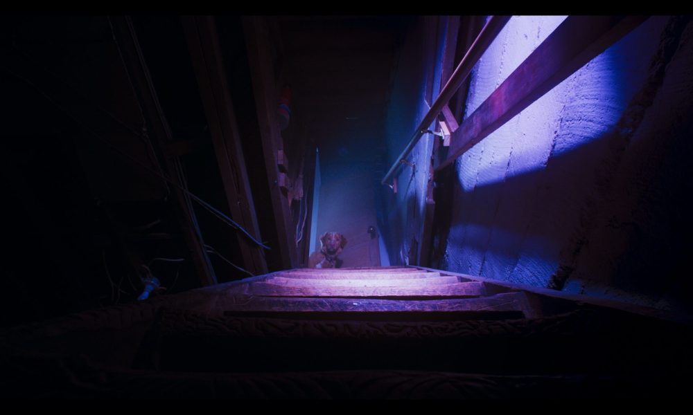 Good Boy Trailer Puts Man’s Best Friend in Haunted House