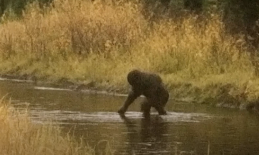 ‘American Sasquatch’ Exclusive Trailer – New Documentary Challenges Everything You Thought You Knew