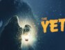 the-yeti.jpg