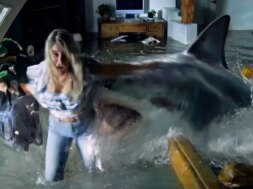 sharktrash-trailer.jpg