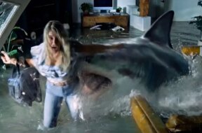sharktrash-trailer.jpg