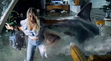 sharktrash-trailer.jpg
