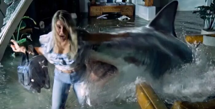 sharktrash-trailer.jpg sharktrash-trailer.jpg