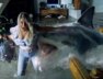 sharktrash-trailer.jpg